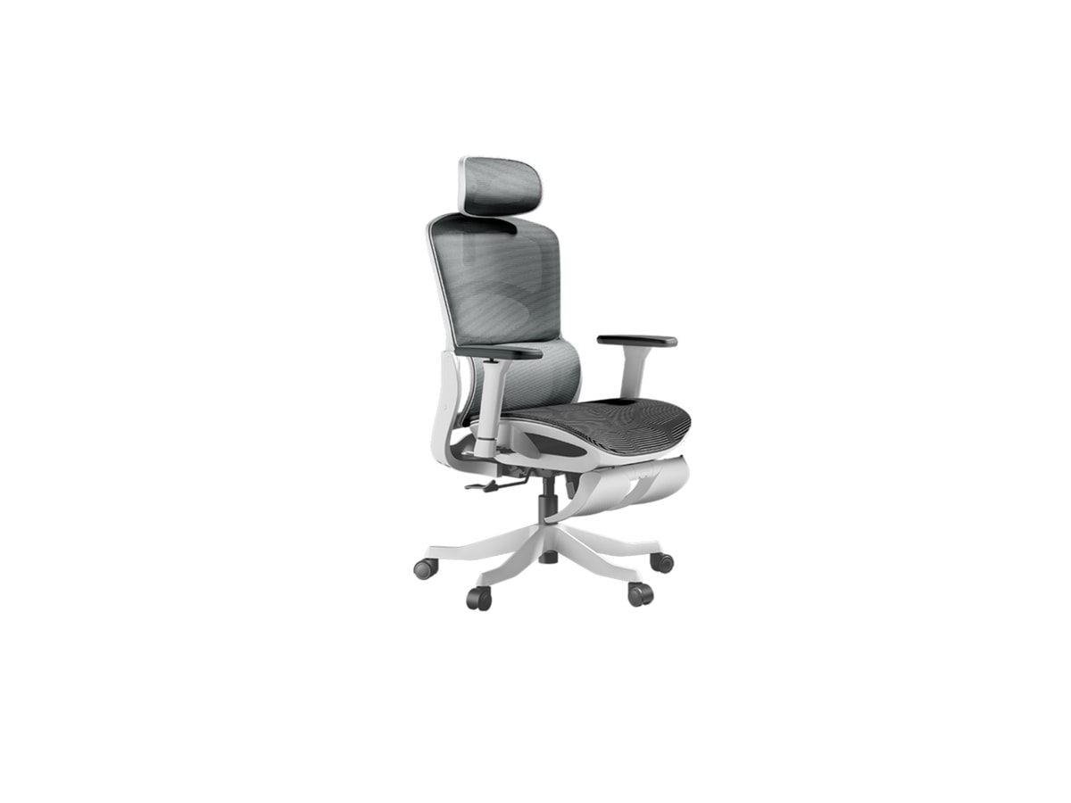 HBADA P2 Pro+ ergonomic chair - Silver (E216WVD)