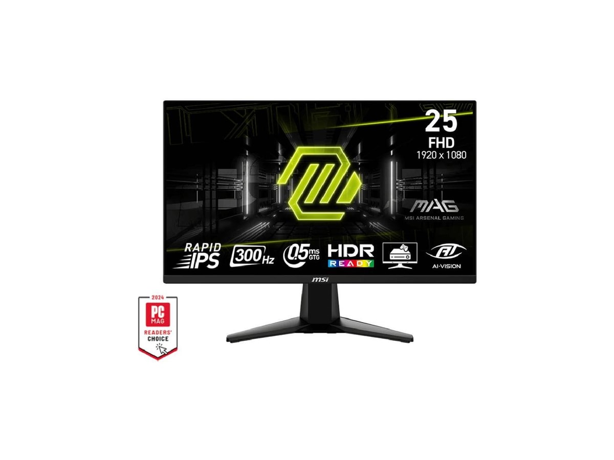 MSI MAG 255XF 24.5inch 300Hz FHD Rapid IPS Gaming Monitor