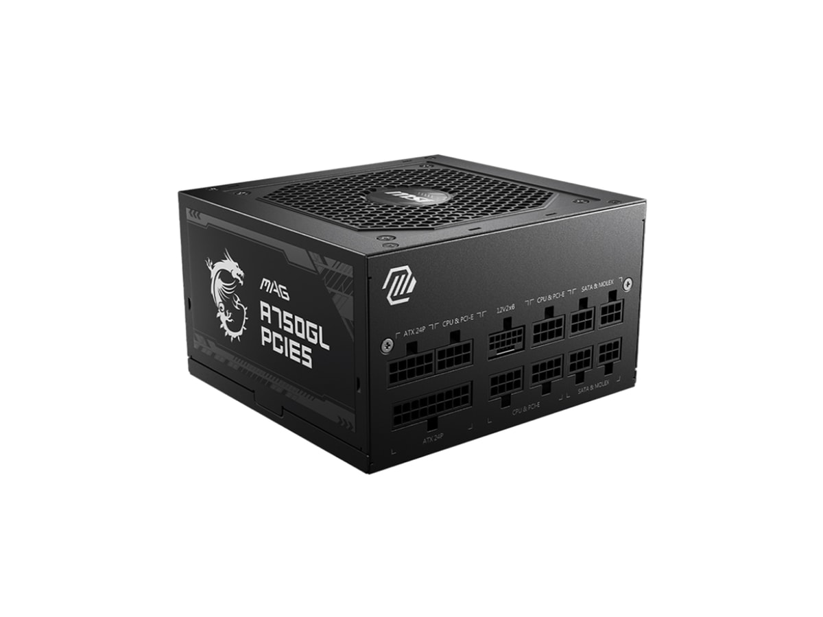MSI MAG A750GL PCIE 5 ATX 3.0 750W 80+ Gold Modular Power Supply