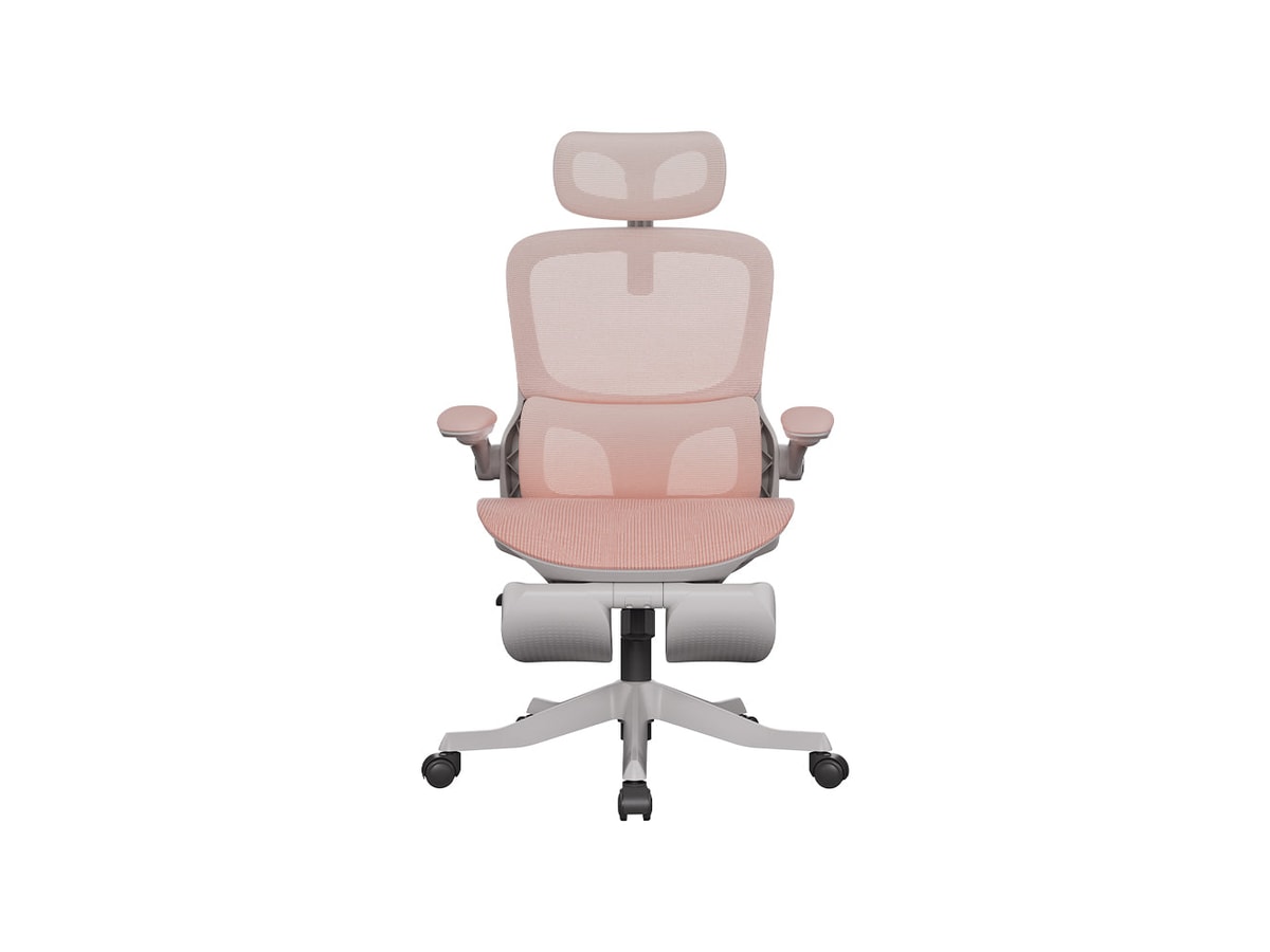 HBADA P2 Pro Ergonomic chair (HBYP216XMP)
